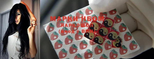 молекула духа Бежецк