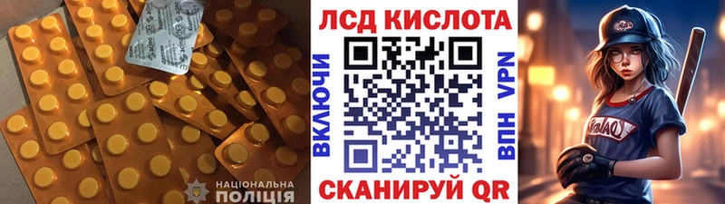 как найти закладки  блэк спрут зеркало  Лсд 25 экстази ecstasy  Болотное 